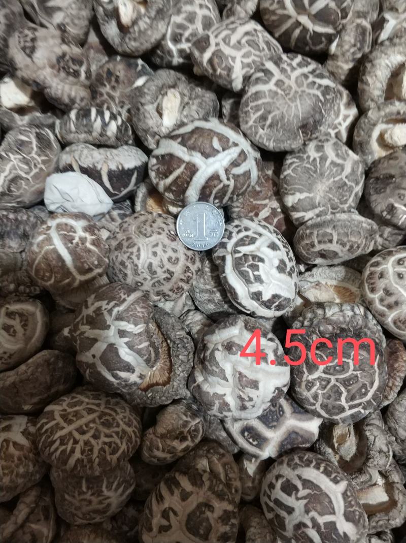 【随州花菇】精品手选产地一手货源批发肉厚/味香/剪脚