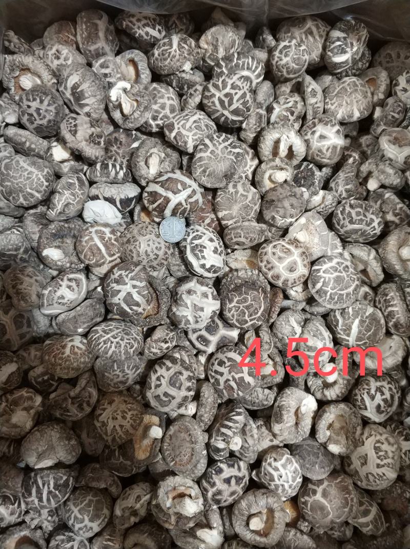 【随州花菇】精品手选产地一手货源批发肉厚/味香/剪脚