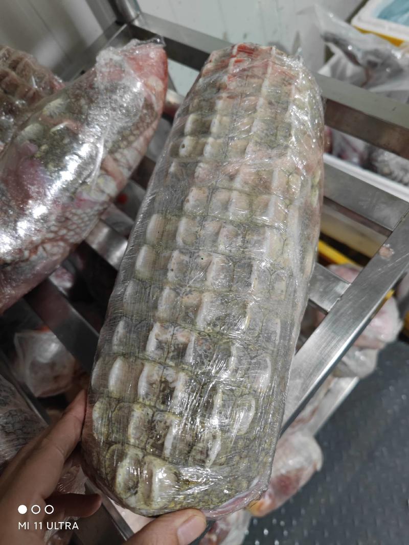 鳄鱼掌新鲜鳄鱼腿鳄鱼肉批发零售特色水产食材