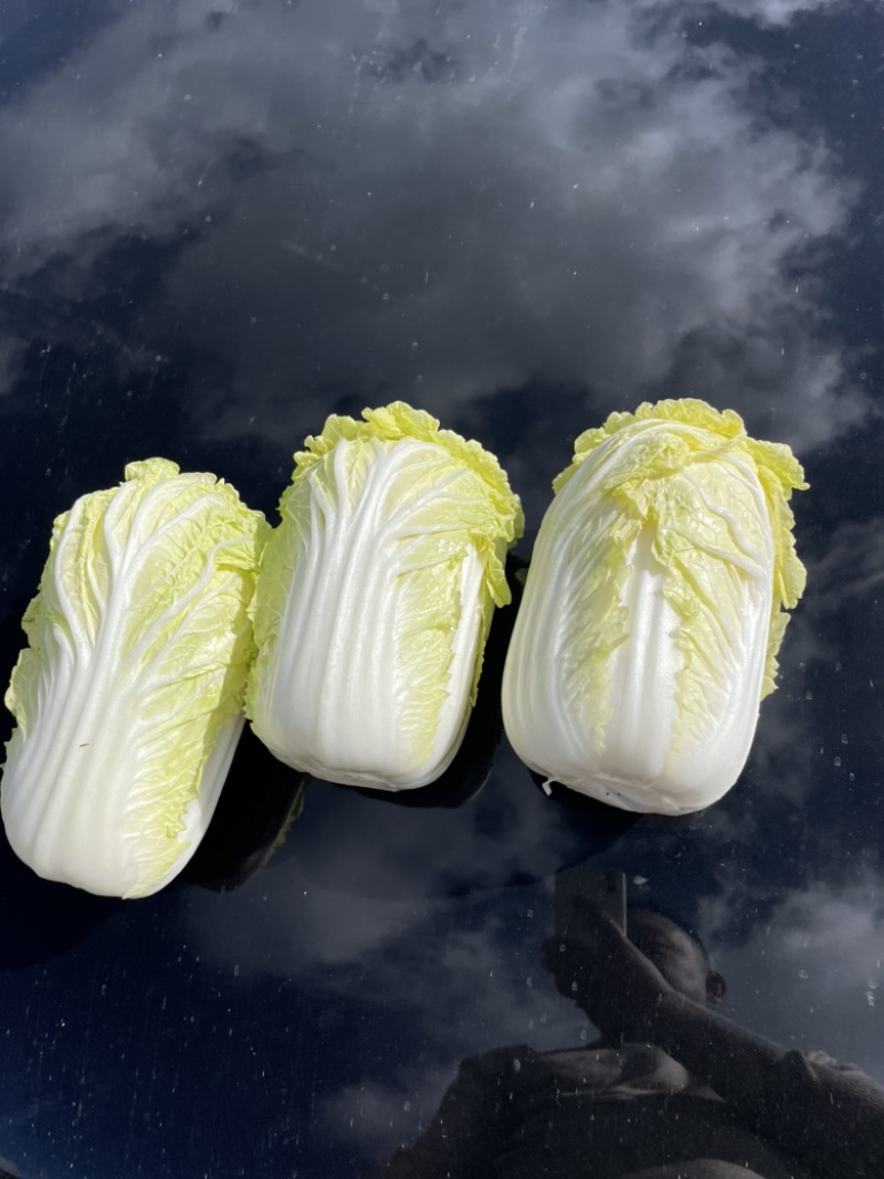 娃娃菜