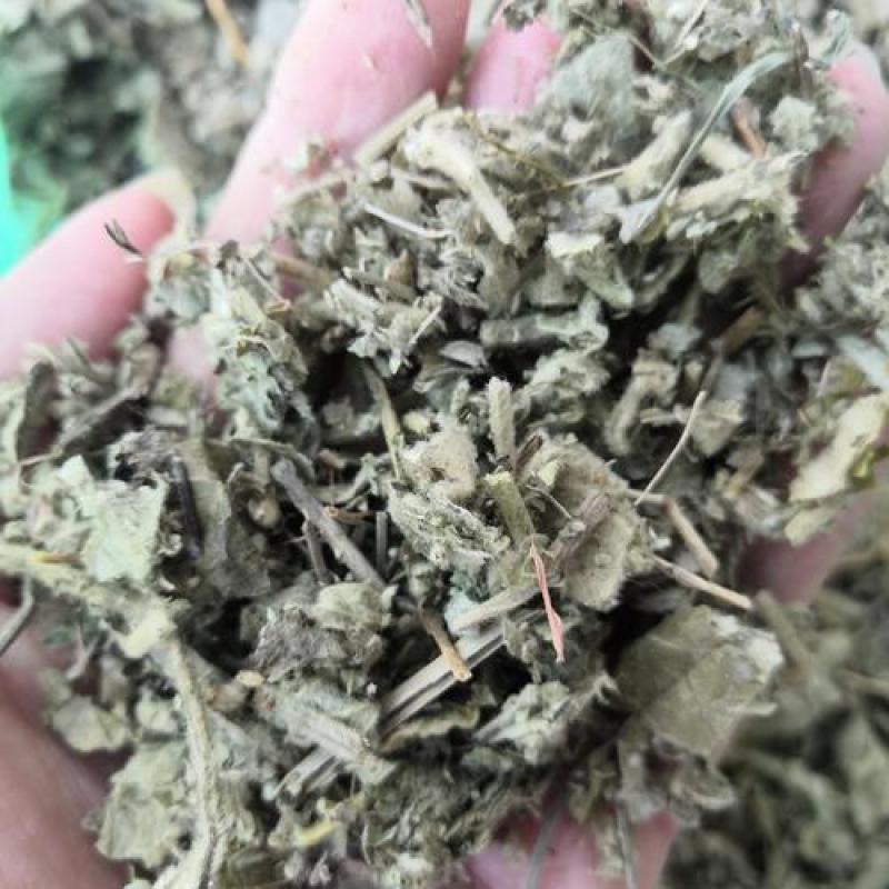 寻骨风叶，中药材寻骨风叶质量保证经营各种中药材欢迎咨询选