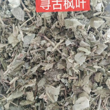 寻骨风叶，中药材寻骨风叶质量保证经营各种中药材欢迎咨询选