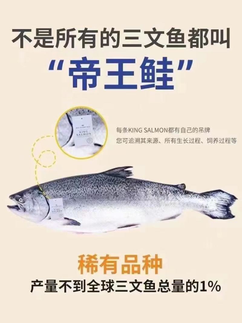 正宗帝王鲑不是所有三文鱼都叫帝王鲑