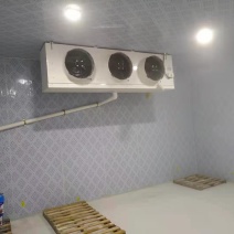 冷库保鲜冷库鲜花冷库冷冻库冻库