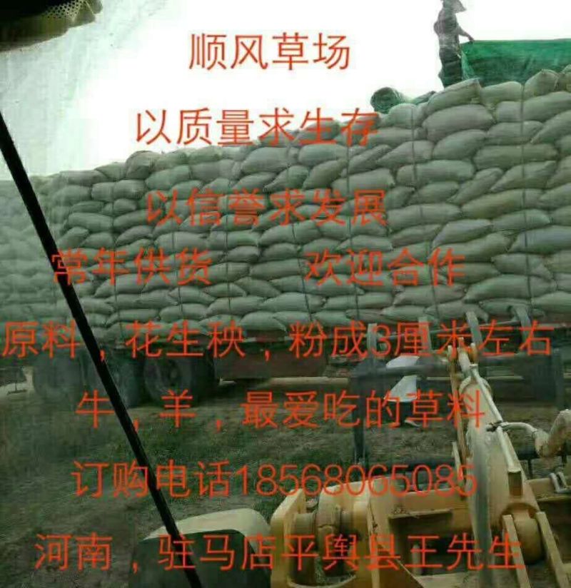 牛羊最爱吃的草料