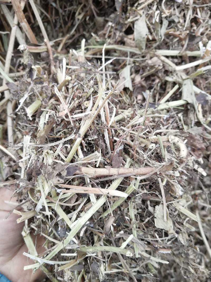 牛羊最爱吃的草料