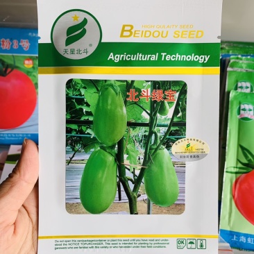 北斗绿宝茄子种子特高产抗病大果茄子种子基地专用灯泡茄种子