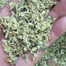 槐花