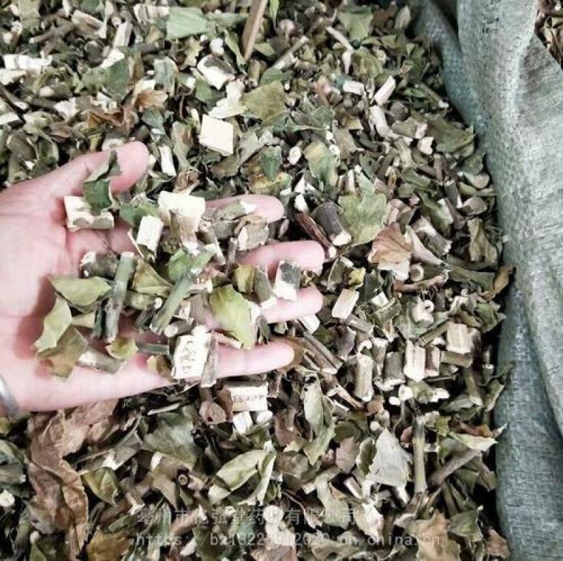 大驳骨，中药材大驳骨新货质量保证经营各种中药材！