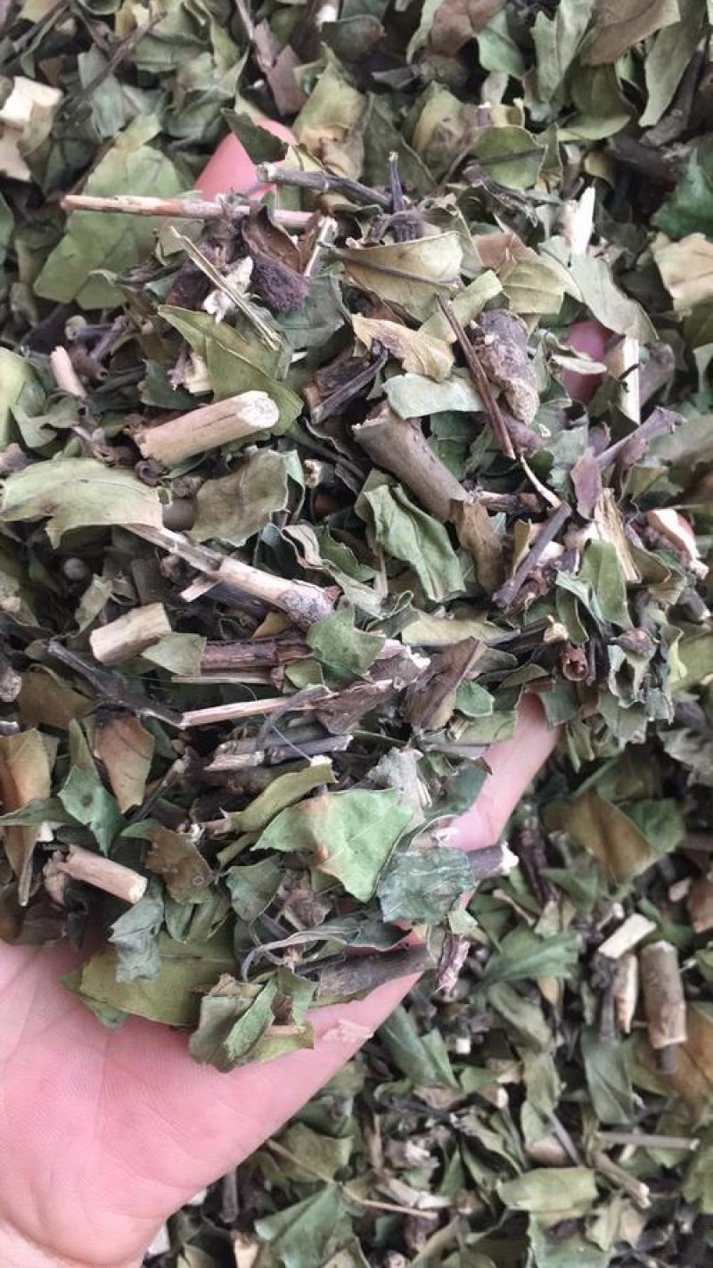 大驳骨，中药材大驳骨新货质量保证经营各种中药材！