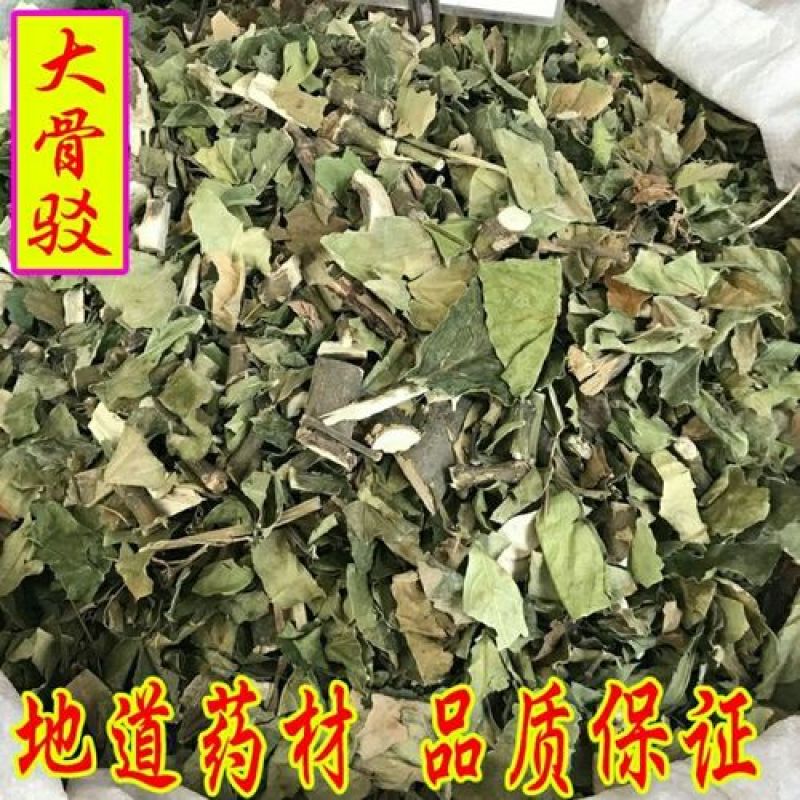 大驳骨，中药材大驳骨新货质量保证经营各种中药材！