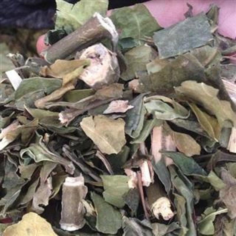 大驳骨，中药材大驳骨新货质量保证经营各种中药材！