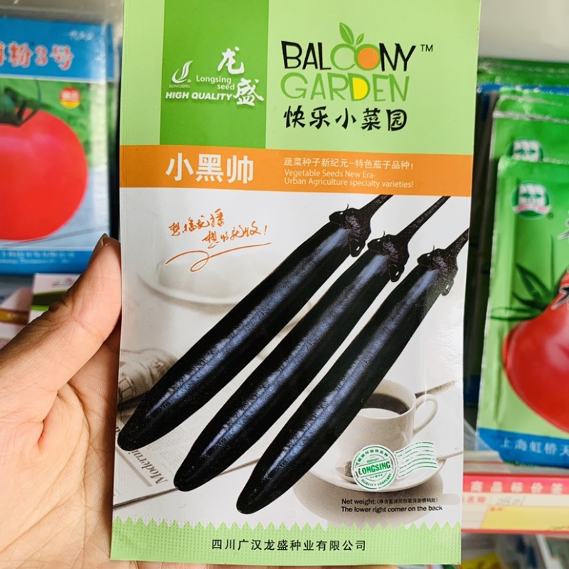 龙盛小黑帅茄子种子杂交一代新品种油黑亮丽黑长茄种子
