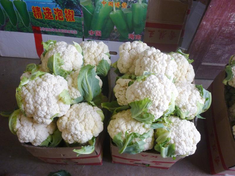【精品】有机鲜花菜，青梗白面菜花基地直供商超全国供应