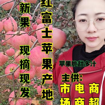 【正宗山区红富士苹果又脆又甜产地代收代发质量保证价低
