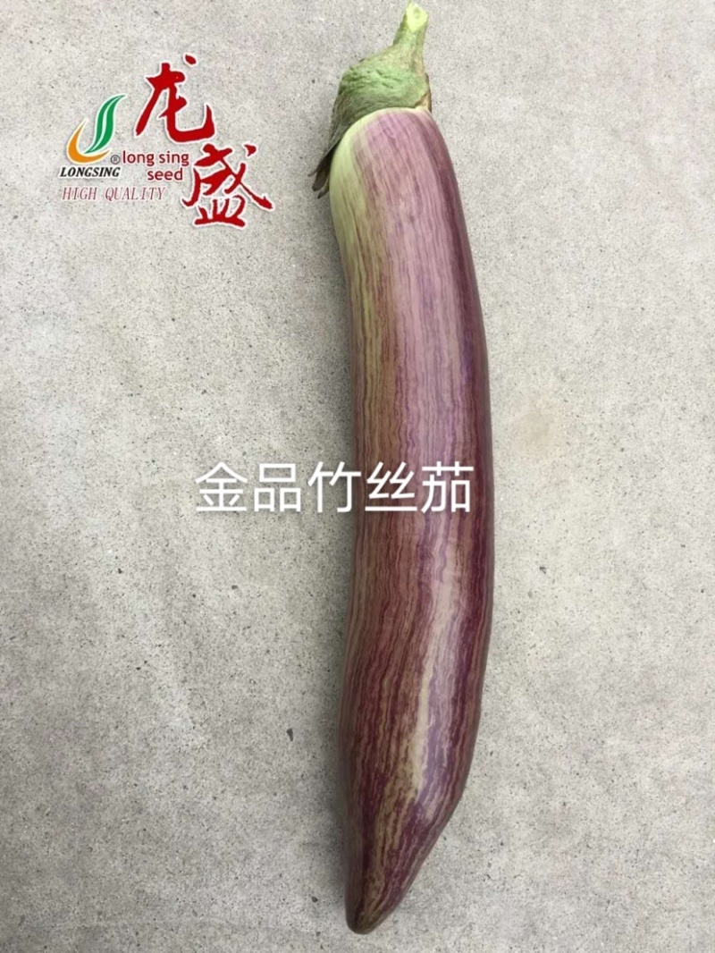 龙盛金品竹丝茄早熟高产茄子种子长棒型茄子专业育种