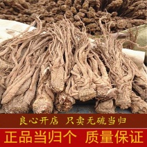 当归中药材当归头甘肃无硫当归个当归个子整条当归泡酒煲汤当