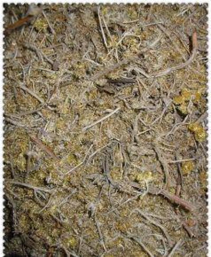 鼠曲草，正品野生鼠曲草佛耳草，质量保证！经营各种中药材！
