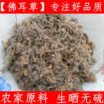 鼠曲草，正品野生鼠曲草佛耳草，质量保证！经营各种中药材！