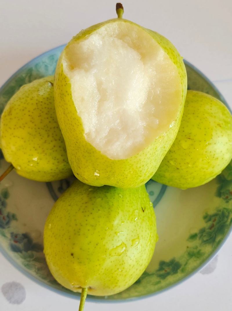 河套早酥梨皮薄脆甜多汁新鲜水果应季