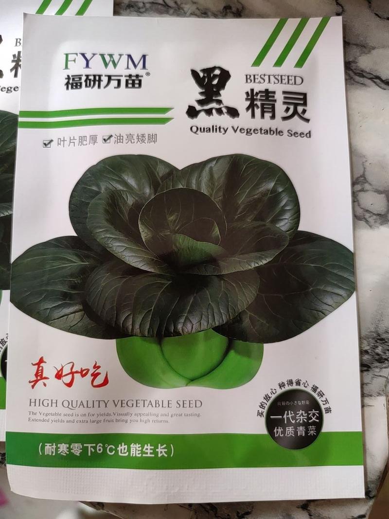 黑精灵青菜种子，叶片肥厚油亮矮脚，耐寒零下6也能