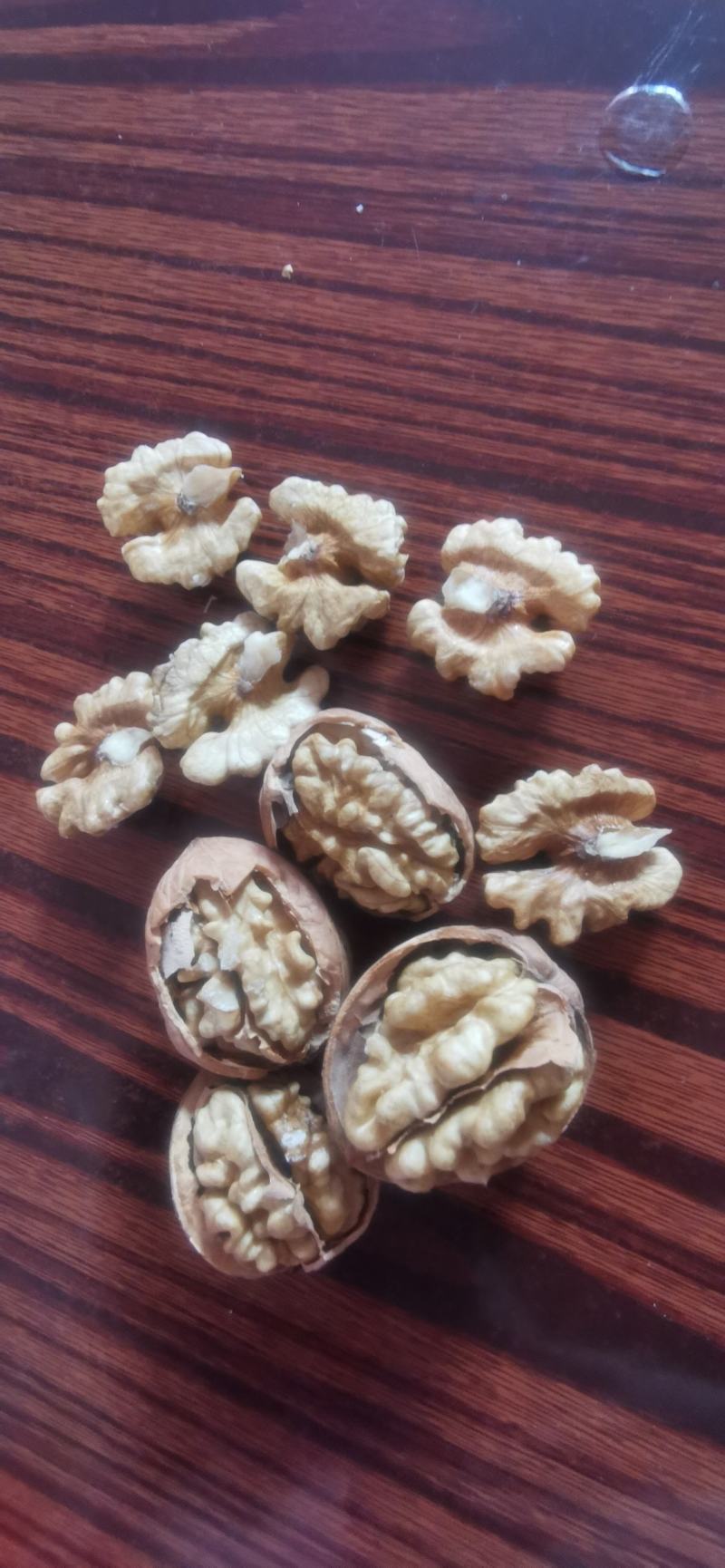 出购薄皮干核桃，个大仁饱