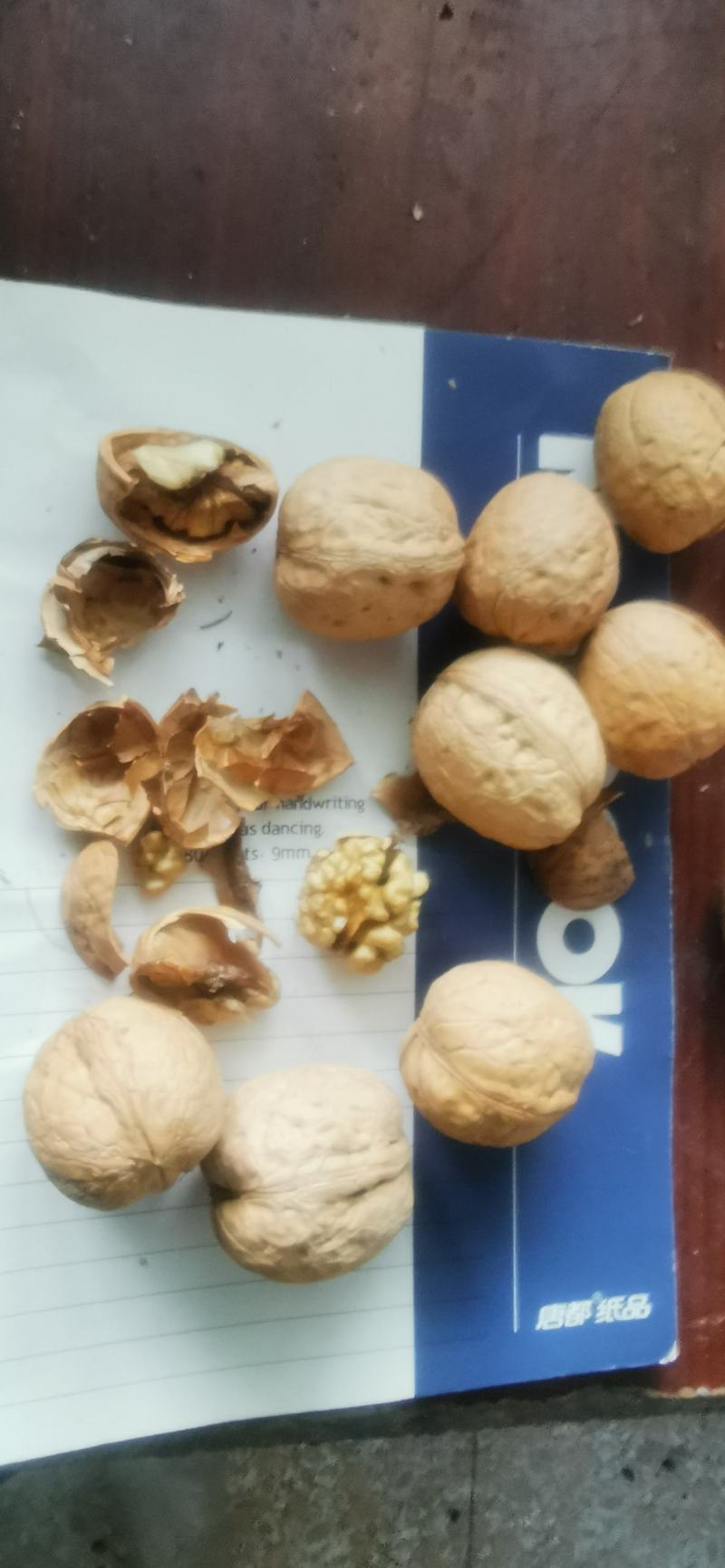 出购薄皮干核桃，个大仁饱