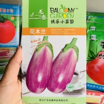 灯泡茄茄子种子玫红色茄子种籽特色茄子品种春秋种植