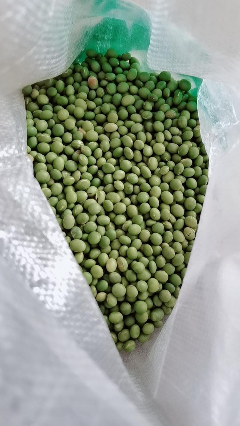 【产地】青豆农家自种青大豆生青豆绿豆青皮青仁整箱包邮