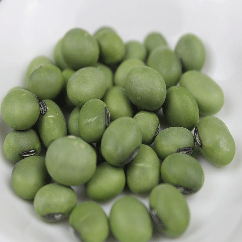 【产地】青豆农家自种青大豆生青豆绿豆青皮青仁整箱包邮