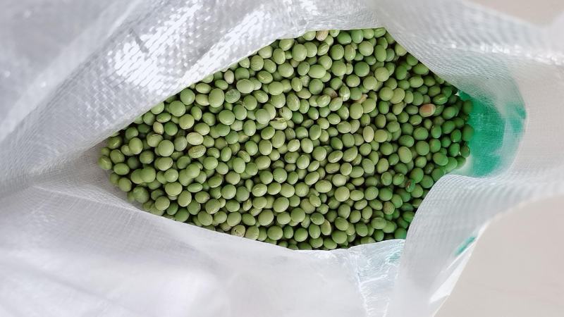 【产地】青豆农家自种青大豆生青豆绿豆青皮青仁整箱包邮
