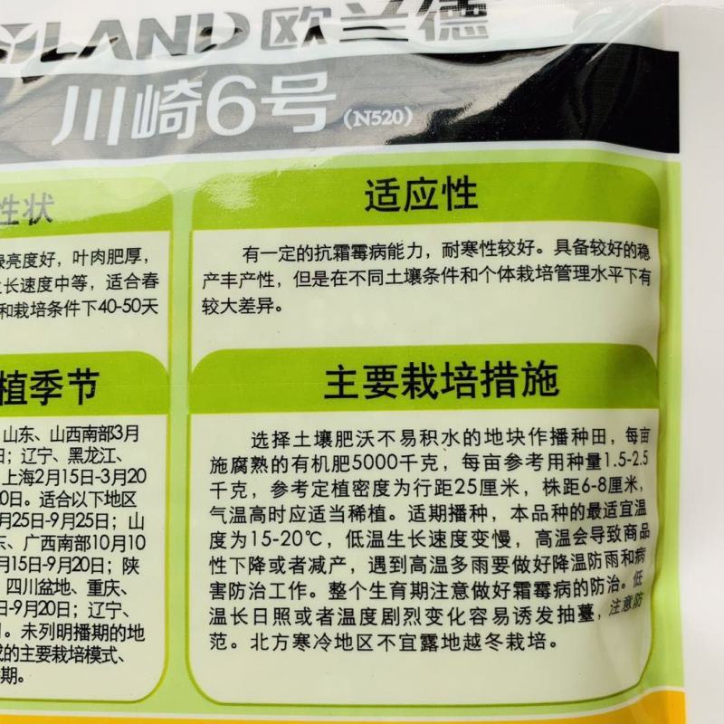 川崎6号菠菜种子半直立叶片深绿油亮春秋越冬栽培耐寒
