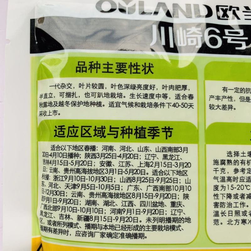 川崎6号菠菜种子半直立叶片深绿油亮春秋越冬栽培耐寒