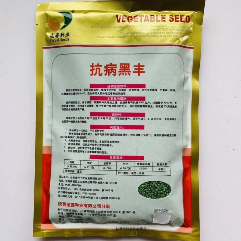 抗病黑丰菠菜种子丹麦纯进口种子半圆叶黑绿叶肥厚抗病