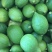 广东香水柠檬无籽