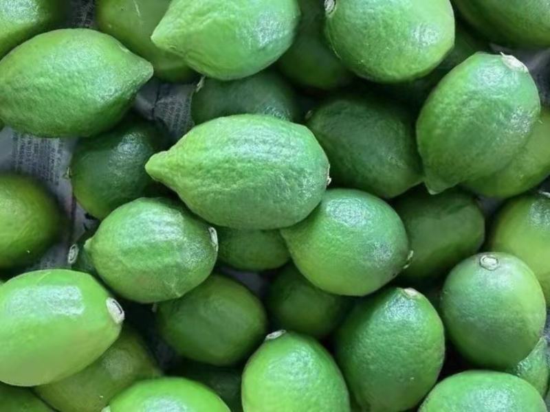 广东香水柠檬无籽