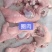 圈肉，去骨猪头肉20斤，猪脸肉，猪脸肉，