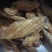 香酥带鱼