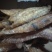 香酥带鱼