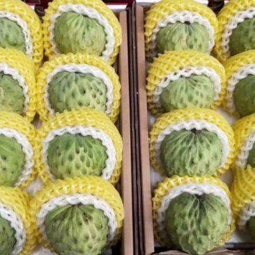 释迦应季品种随时可聊