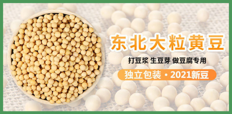 【产地直】【超值包邮】东北黑龙江黄豆农家自产黄豆黄黄豆