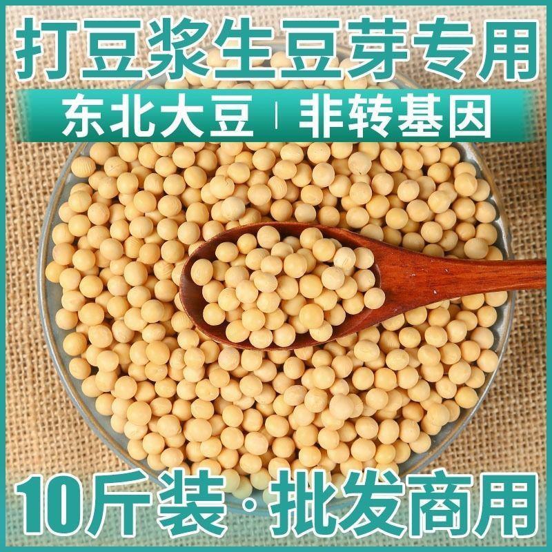 【产地直】【超值包邮】东北黑龙江黄豆农家自产黄豆黄黄豆