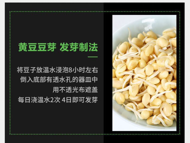 【产地直】【超值包邮】东北黑龙江黄豆农家自产黄豆黄黄豆