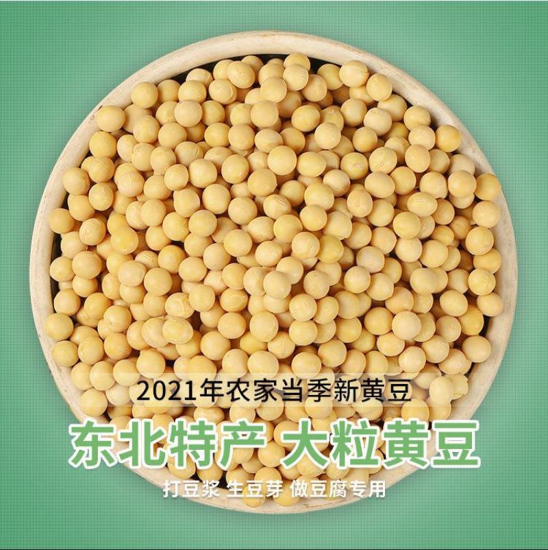 【产地直】【超值包邮】东北黑龙江黄豆农家自产黄豆黄黄豆