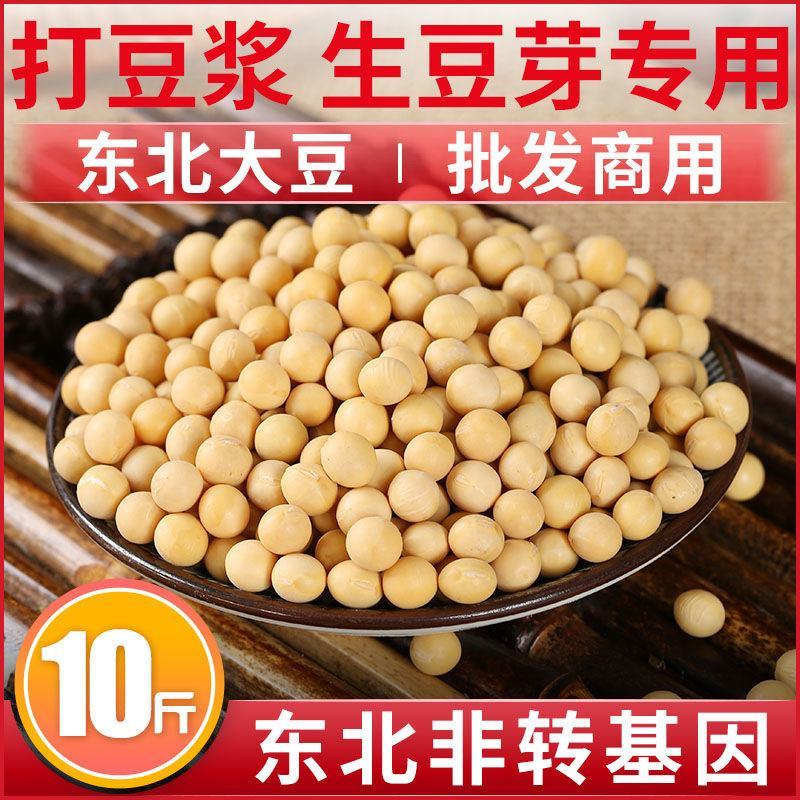 【产地直】【超值包邮】东北黑龙江黄豆农家自产黄豆黄黄豆