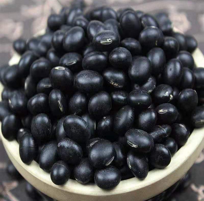 黑豆种子优质高产农家大田绿芯大黑豆种籽豆类非转基因豆