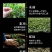 云南凤庆滇红茶一级正宗浓香型经典58松针茶叶2020年新
