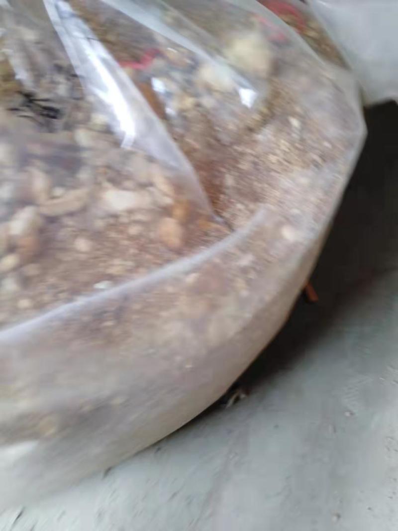 猴头菇碎沫猴头菇下脚料批发猴头菇原料批发