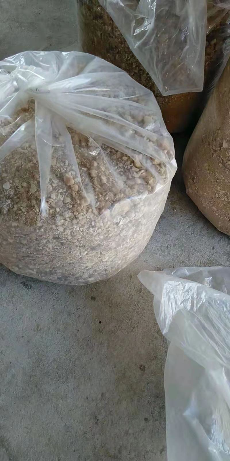 猴头菇碎沫猴头菇下脚料批发猴头菇原料批发