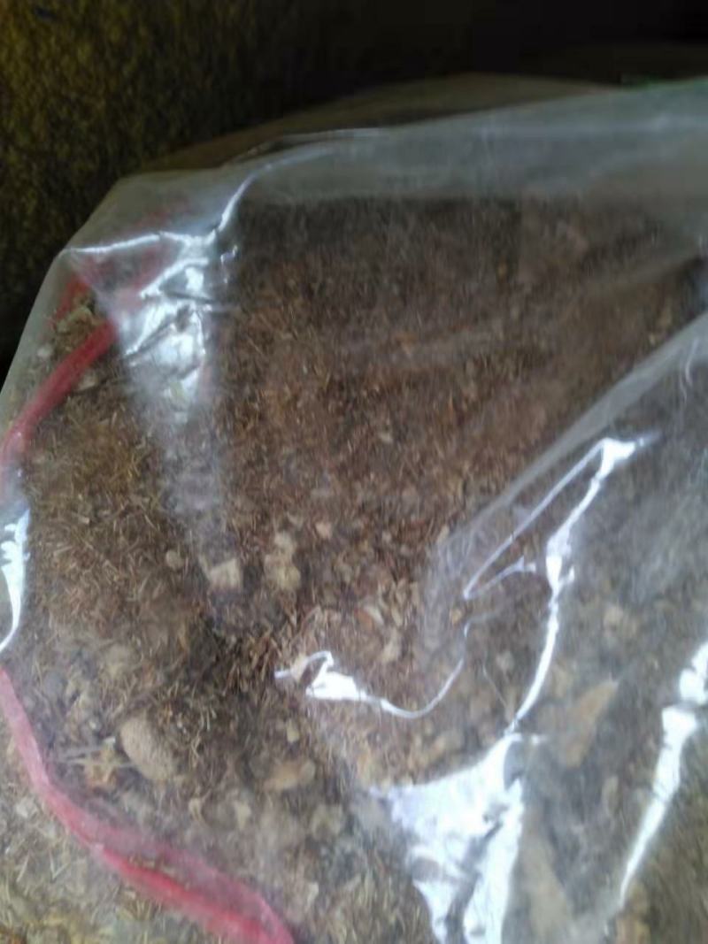 猴头菇碎沫猴头菇下脚料批发猴头菇原料批发